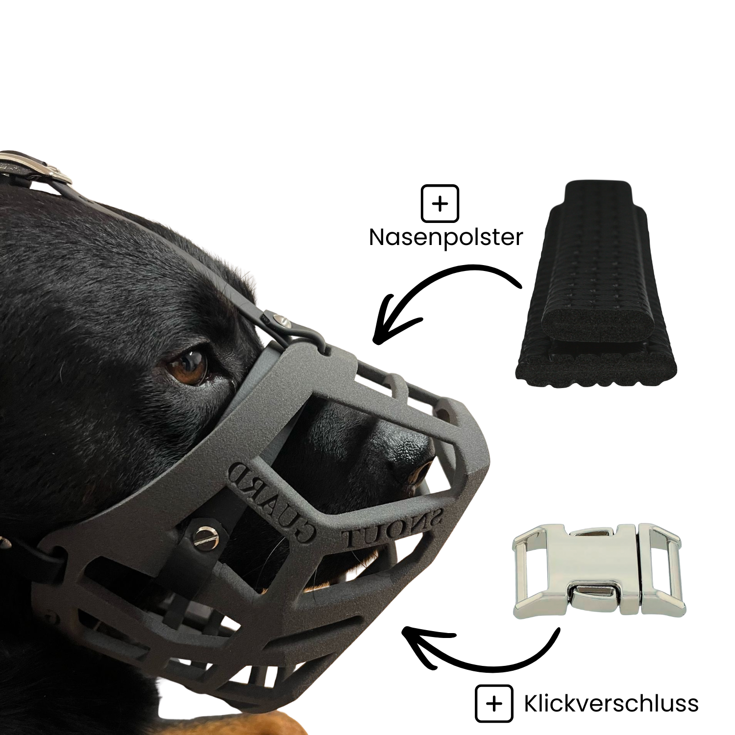 SnoutGuard "Rocky" Bundle
