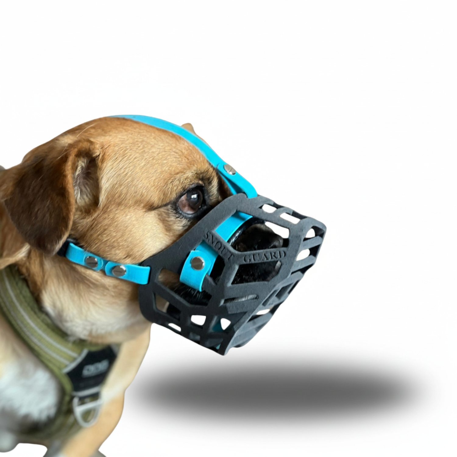 Snoutguard - BUDDY "Active"