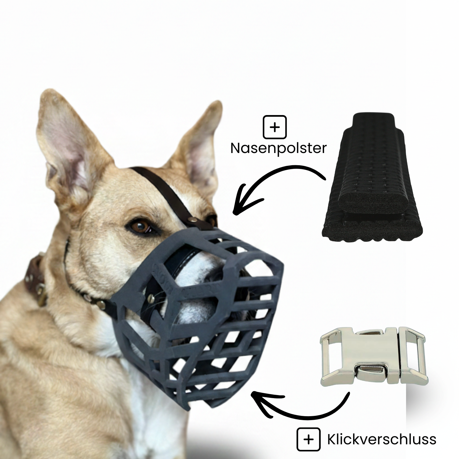 Snoutguard - BUDDY "Active" Bundle