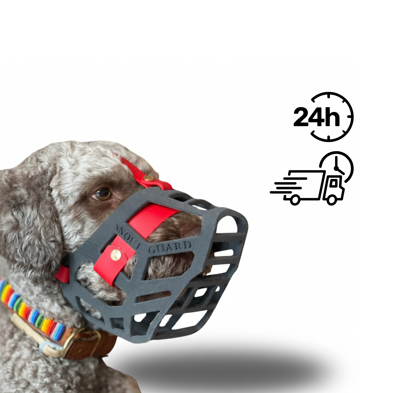 Snoutguard - BUDDY "Comfort" Bundle - 24h Express-Versand