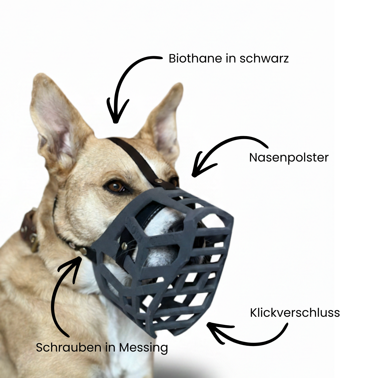 Snoutguard - BUDDY "Active" Bundle - 24h Express-Versand