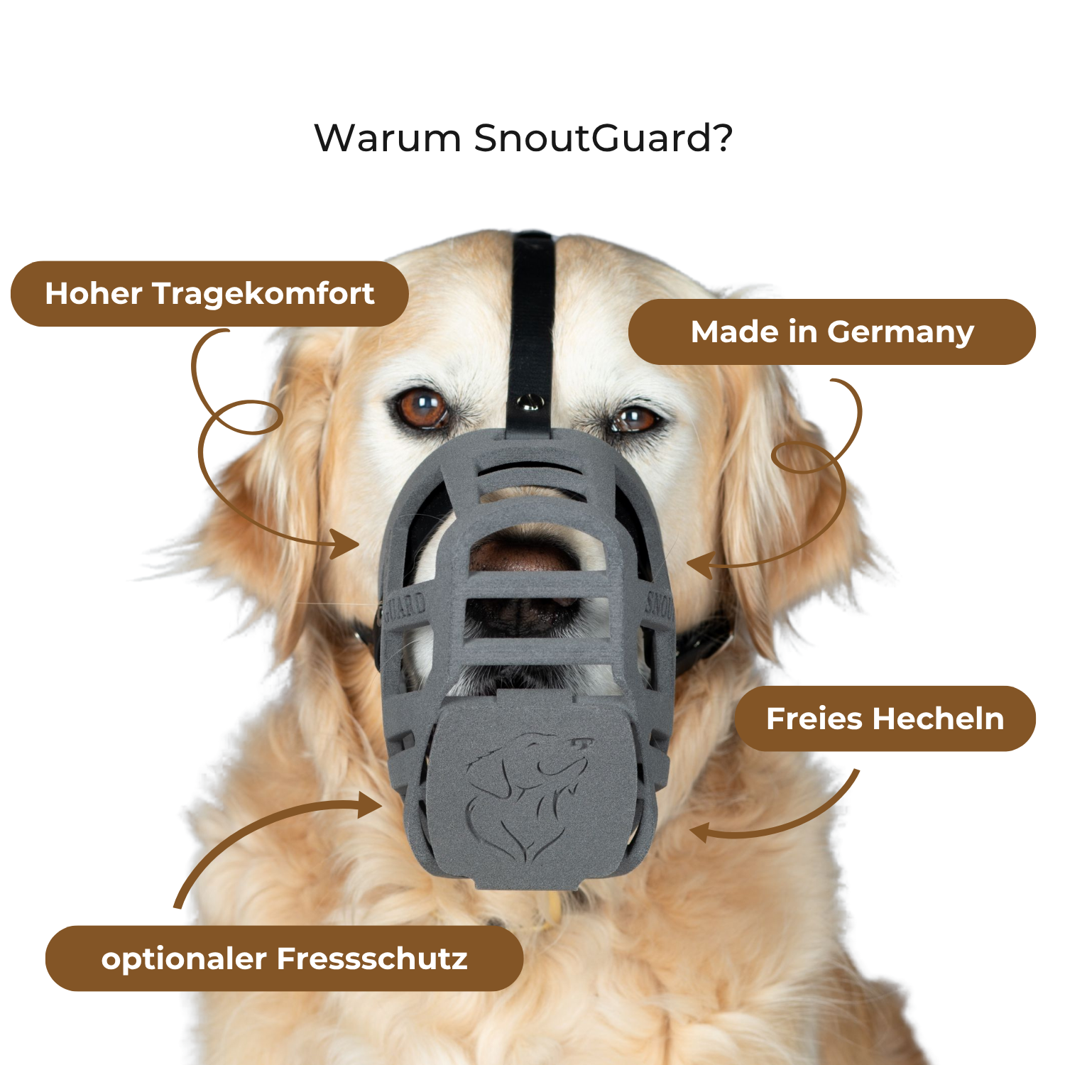 Snoutguard - BUDDY "Comfort" Bundle