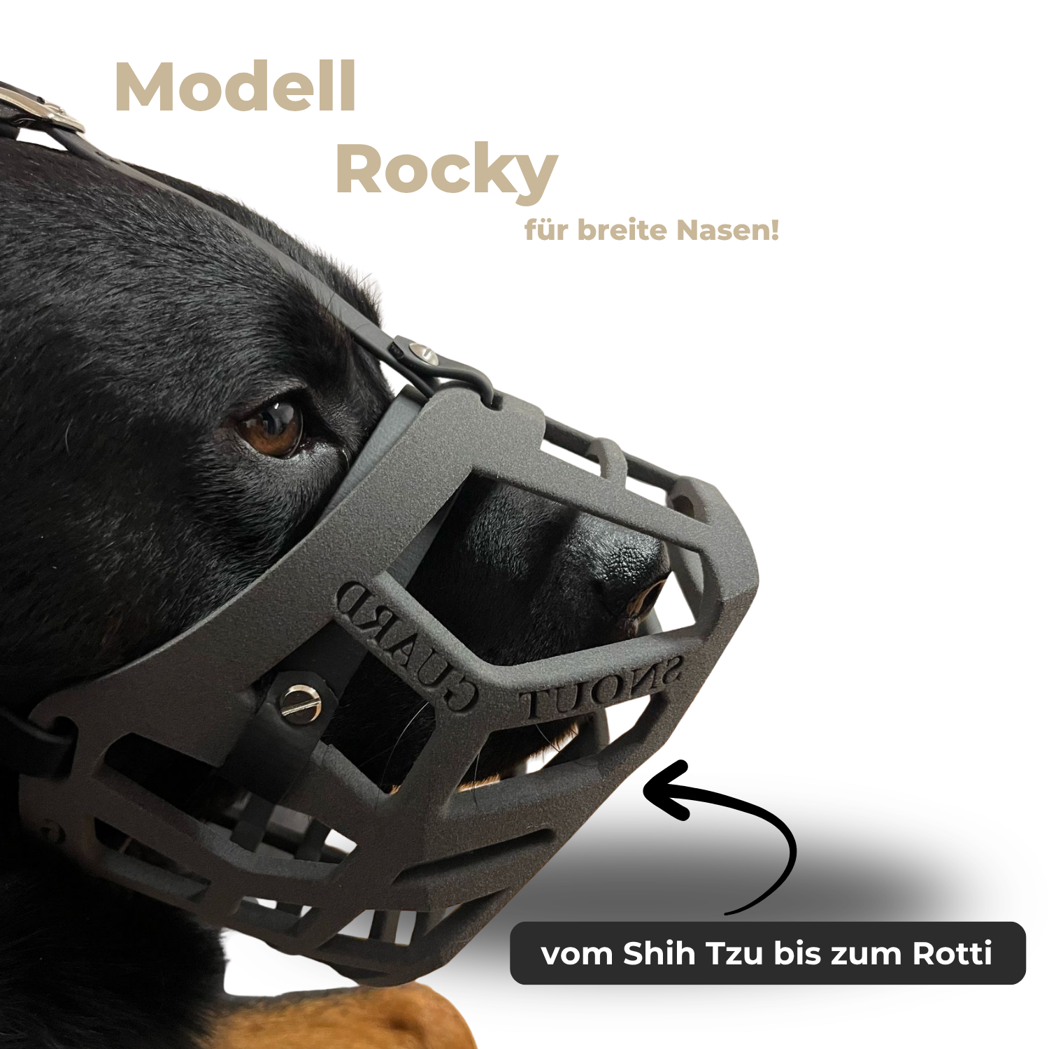 SnoutGuard "Rocky" Bundle