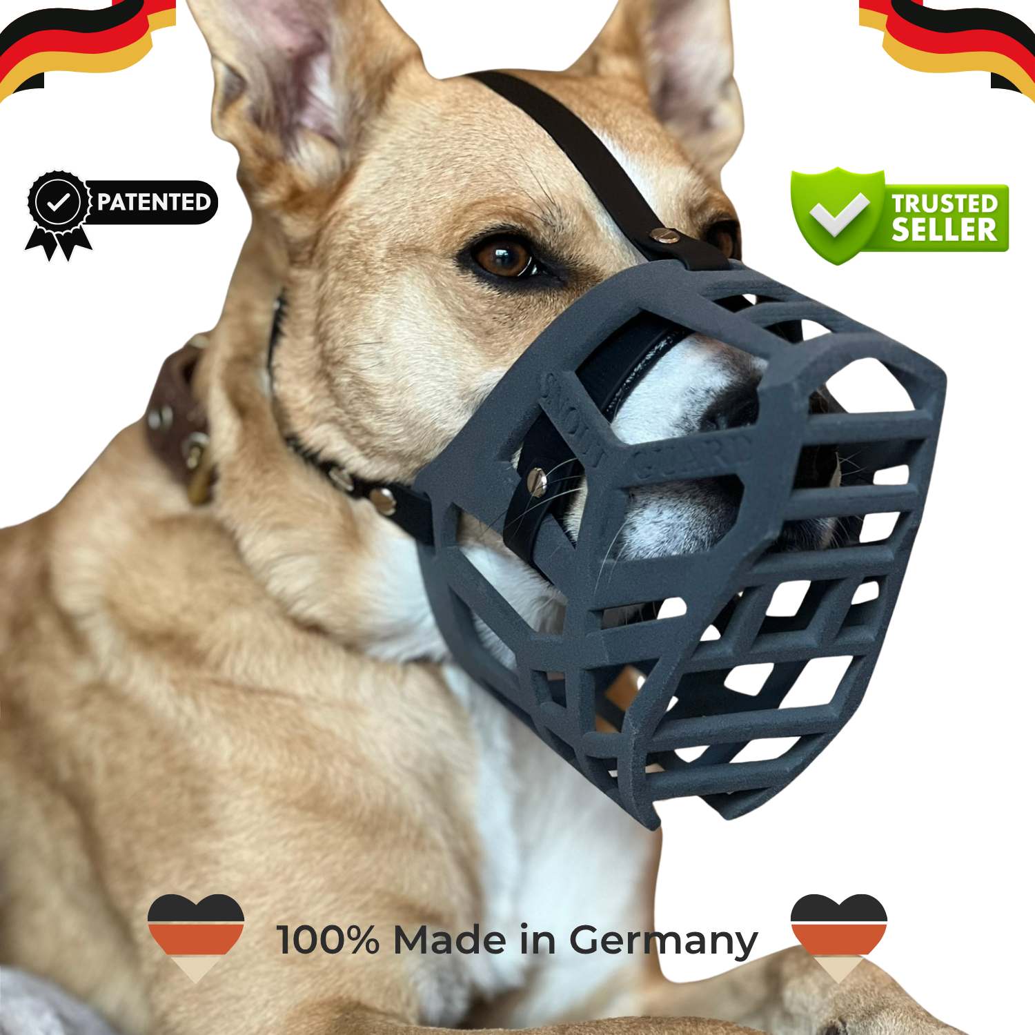 Snoutguard - Rocky "Active"