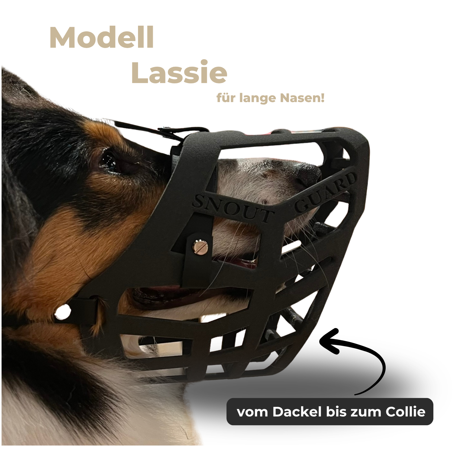 SnoutGuard - "Lassie" Bundle