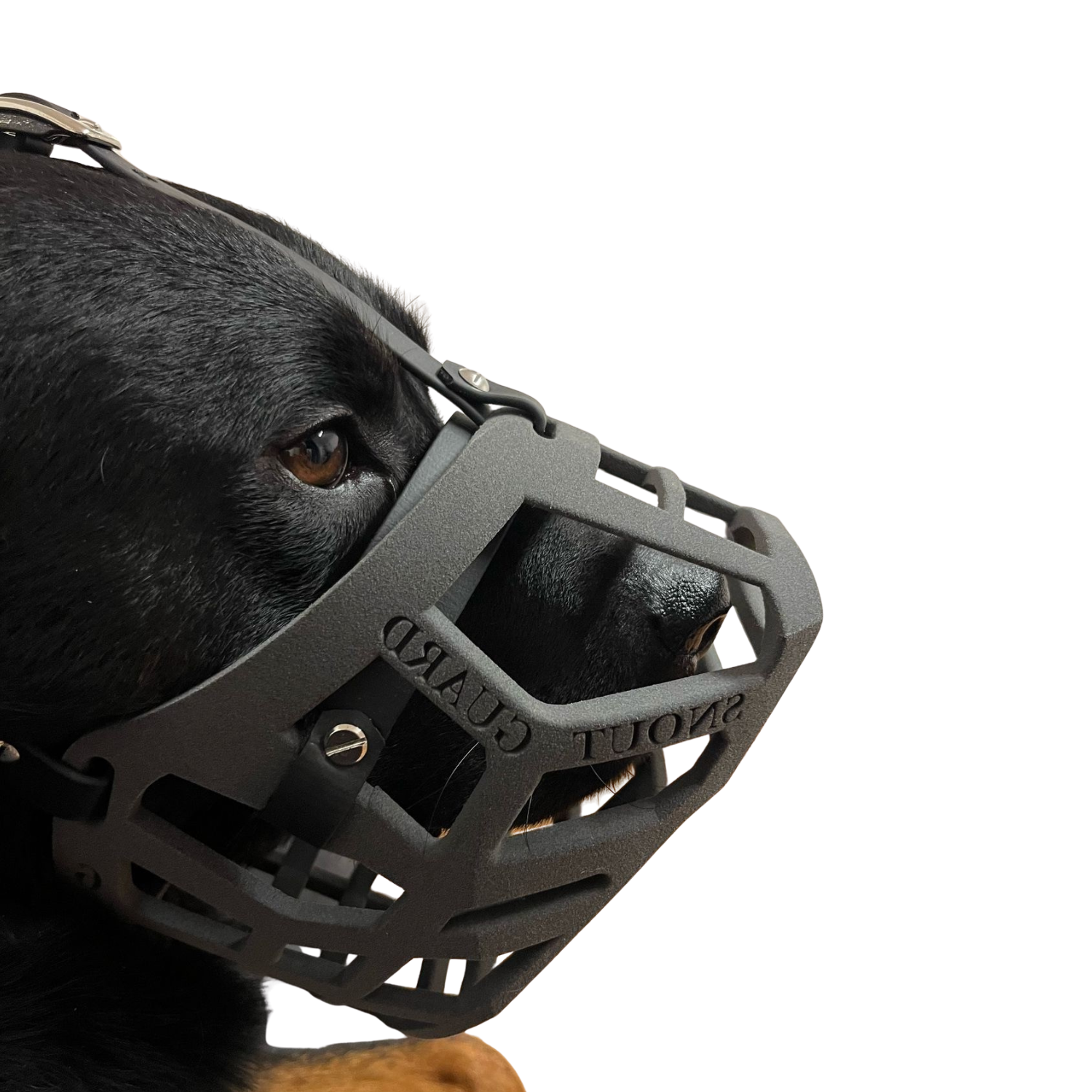 Snoutguard - ROCKY "Active"