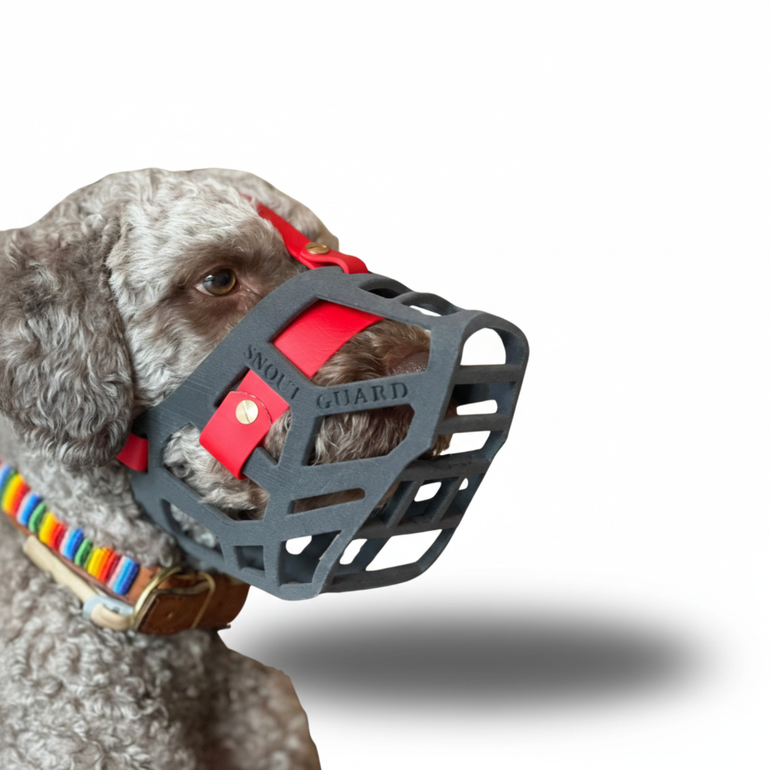 Snoutguard - BUDDY "Comfort"