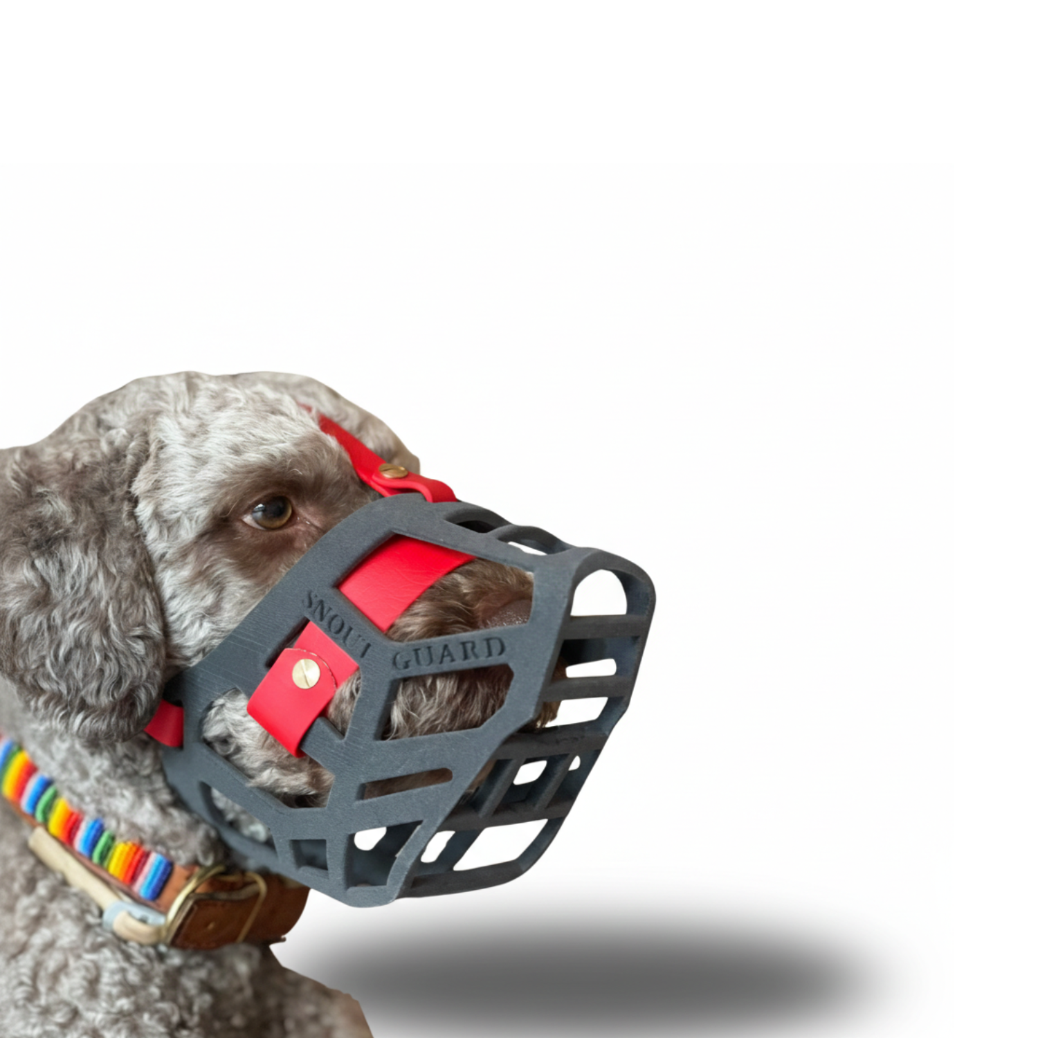 Snoutguard - BUDDY "Comfort" Bundle