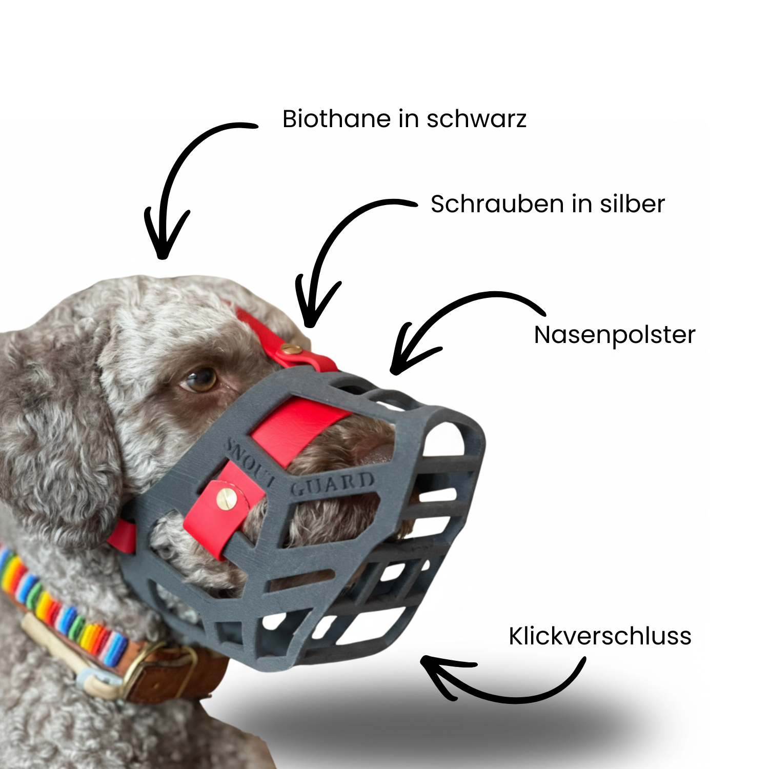 Snoutguard - BUDDY "Comfort" Bundle - 24h Express-Versand