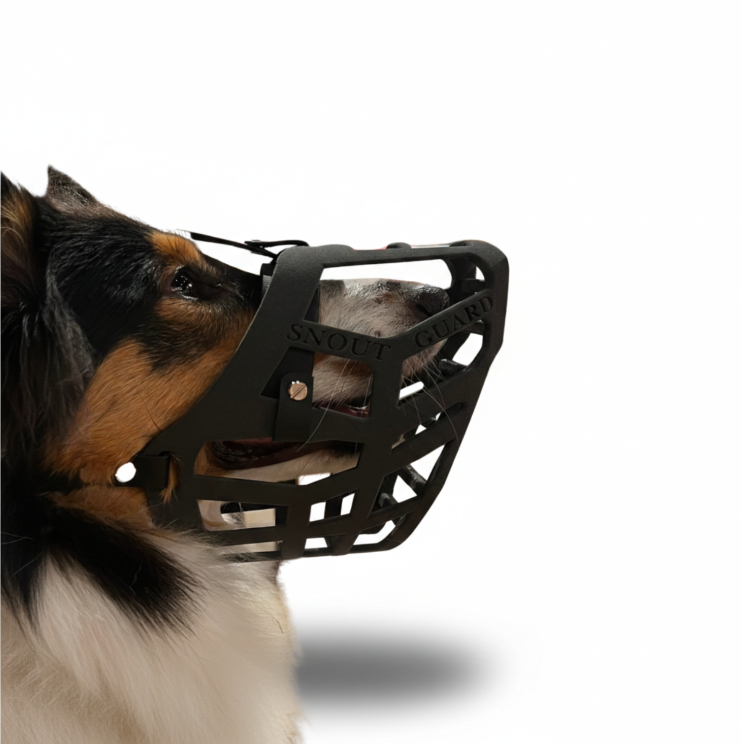 Snoutguard - LASSIE "Active"