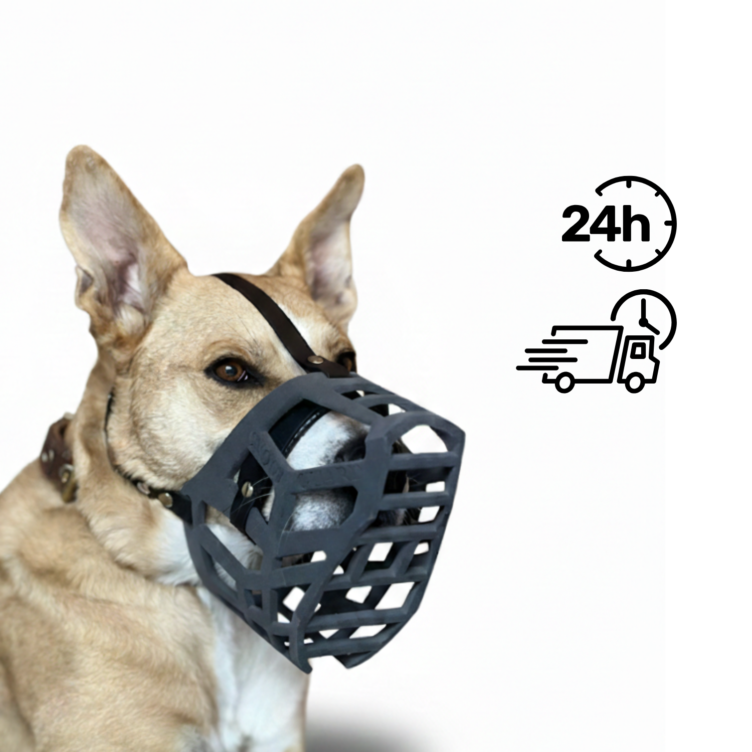 Snoutguard - BUDDY "Active" Bundle - 24h Express-Versand