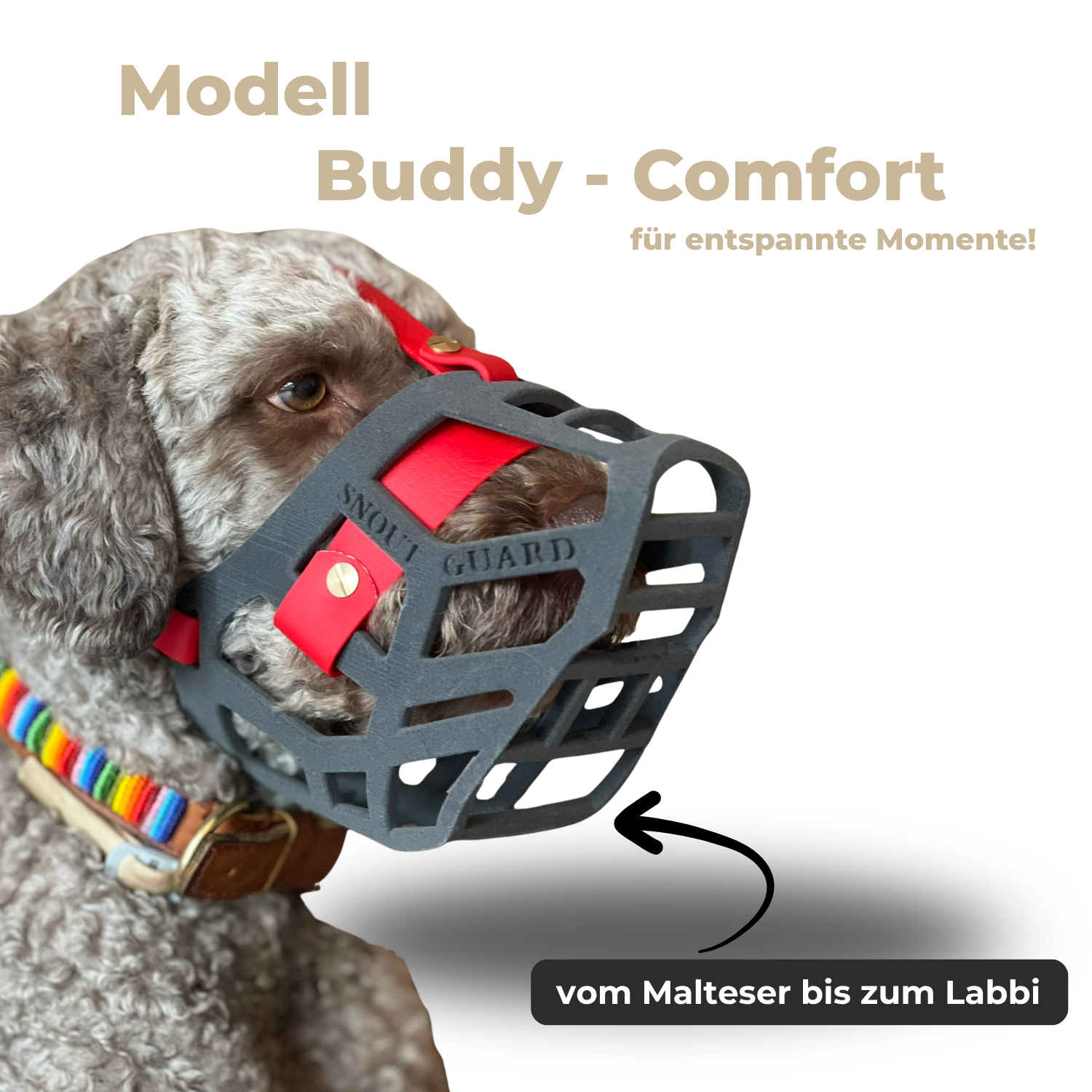Snoutguard - BUDDY "Comfort"