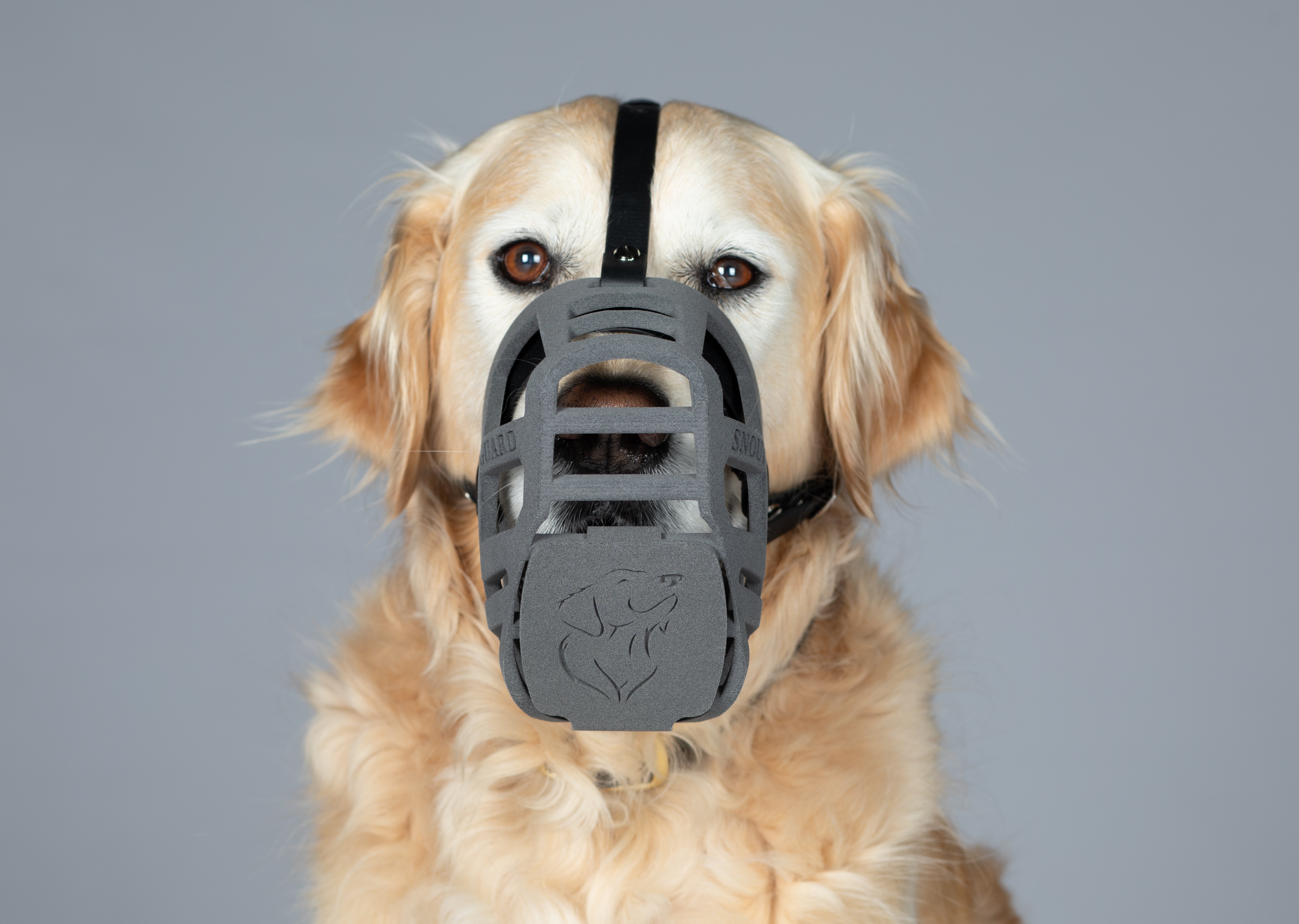 SnoutShield
