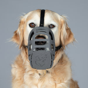 SnoutShield